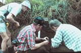 Inspecting Soil for Samples